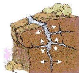 EASY 15 POINTS❗️❗️

 Look at the drawing. What would MOST LIKELY cause the rock to break apart?
A)