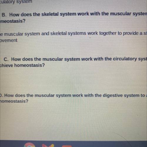 C. How does the muscular system work with the circulatory system to
achieve homeostasis?