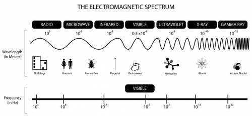 2.

What can you infer by looking at the electromagnetic spectrum (see image)? please get it right