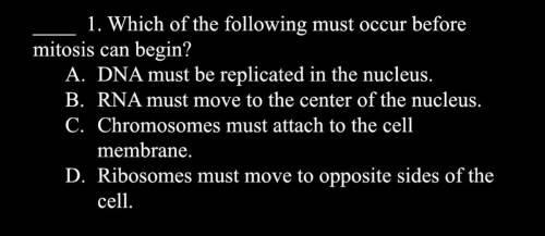 Which of the following must occur before mitosis can begin. Help