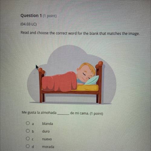 Read and choose the correct word for the blank that matches the image.

Me gusta la almohada ____