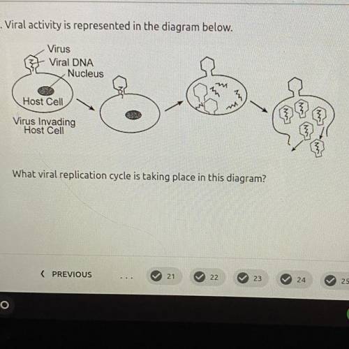 Please help :(

A.) meiosis 
B.) mitosis 
C.) Lyric cycle 
D.)Lysogenic cycle