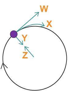 A ball moves in a circle at the end of a string, as shown.

An illustration of a circle with an ar