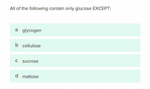 All of the following contains only glucose except