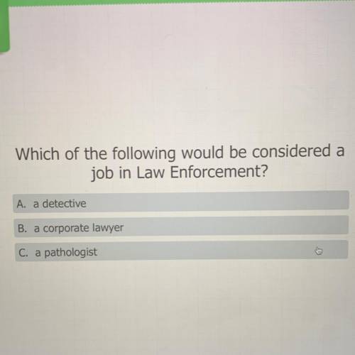 Which of the following would be considered a

job in Law Enforcement?
A. a detective
B. a corporat