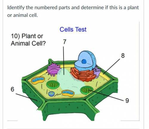 Identify the numbered parts and determine if this is a plant or animal cell. i have already done #9