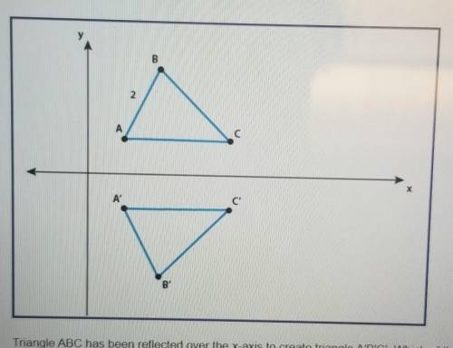 Triangle ABC has been reflected over the x-axis to create triangle A'B'C'. Which of the following s