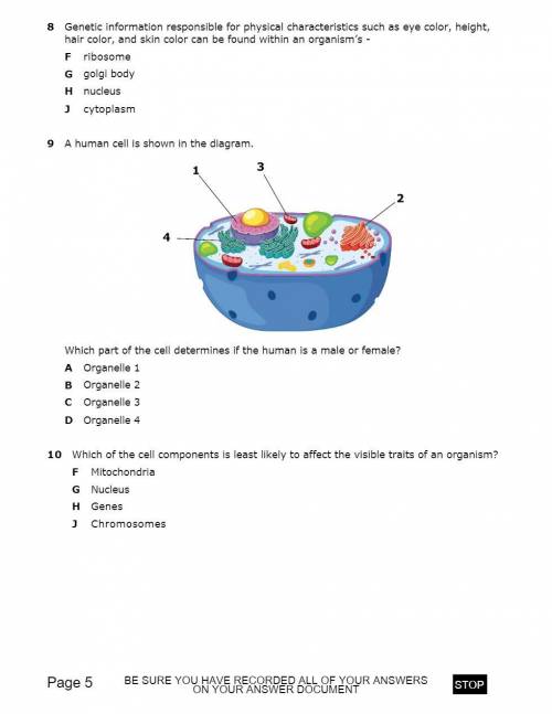 A human cell is shown in the diagram.

Which part of the cell determines if the human is a male or