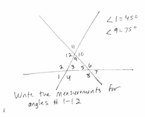 Write the measurements for the angles.