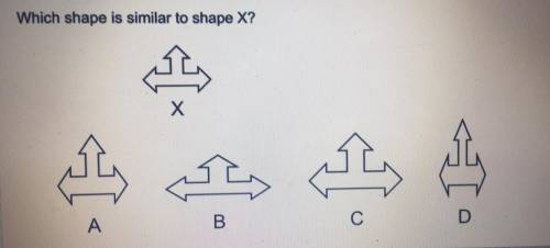 Which shape is similar to shape x?