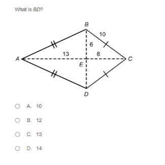 What is BD? Kite lesson check