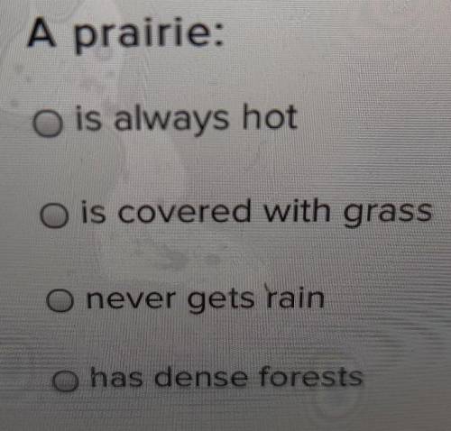 A prairie:

A .is always hot B. is covered with grass C. never gets rainD. has dense forests