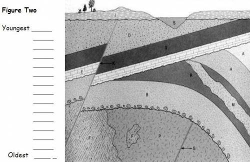 Label these rock layers from youngest to oldest.
Geological cross-sections