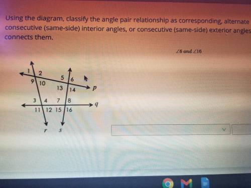 I need help plsssss ...... name the transversal that connects them and classify the angle pair