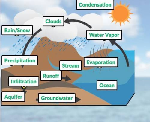 Once you have completed a correct water cycle, include a paragraph summary of the process, and how