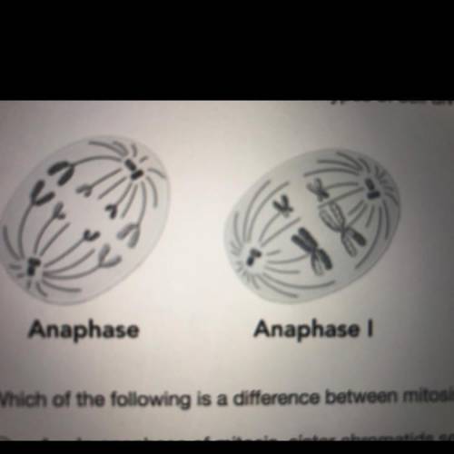 WILL MARK BRAINLIEST Which of the following is a difference between mitosis and meiosis that is sup