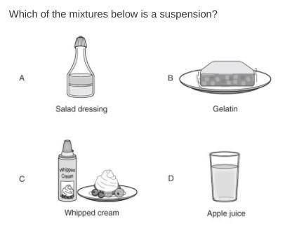 Science question!
which is a suspension?