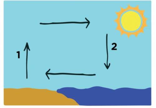 How should Point 1 on the Sea Breeze diagram be labeled? (look at the picture)

a
Cool air, high p