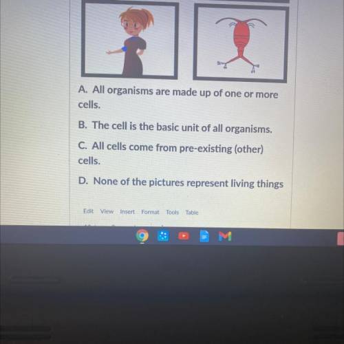The question says “what part of the cell theory do all these pictures best identify with?”