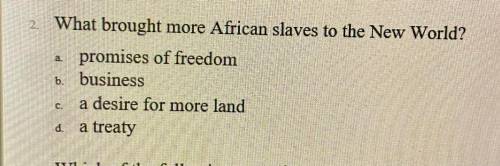 What brought more African slaves to the New World?

A.promises of freedom
b. business
C. desire fo