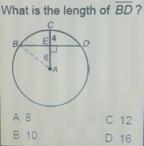 What Is the length of BD?