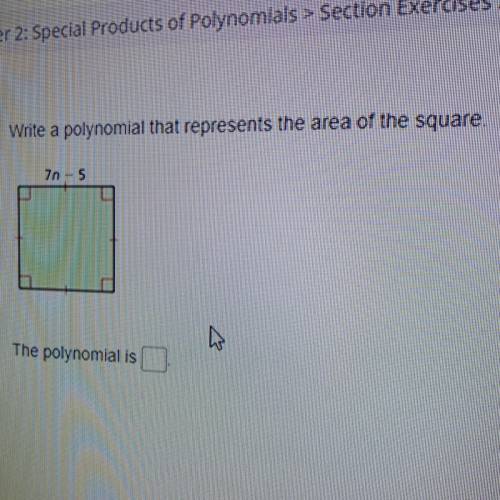 Write a polynomial that represents the area of the square 7n-5, plz help, thank you!