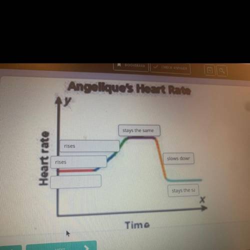 Angelique's heart rate is being monitored while she exercises on a treadmill. Label the graph below