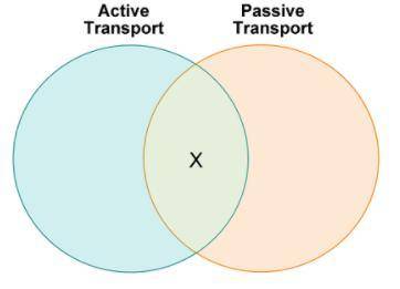 Jen makes a Venn diagram to compare active transport and passive transport.

Which label belongs i