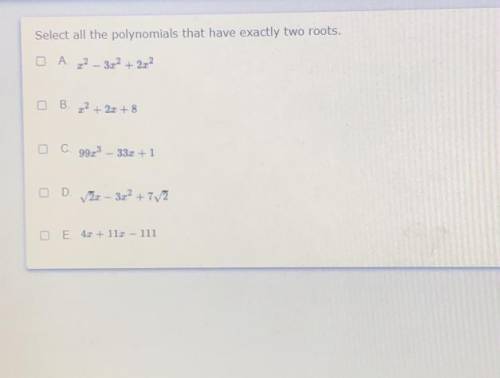 Which polynomials have 2 roots