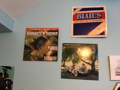 1. Go to thrift shop or goodwill and find albums that you like the cover of, put them on your wall!