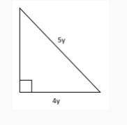 If the perimeter of the triangle is 60, what is the value of y?
pleas today