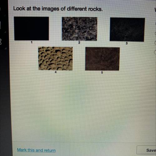 Look at the images of different rocks.

Which two rocks have a fine-grainsd textures?
O1 and 5
O 2