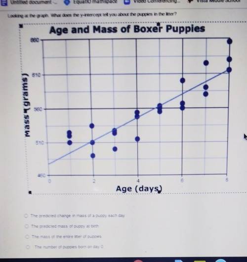 Looking at the graph what does the y intercept tell you about the puppies in the litter? help me