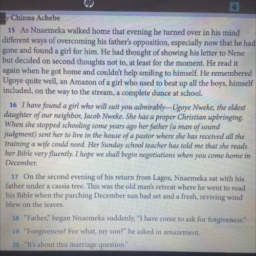 8. How is Nnaemeka's father introduced in the story? What is the effect of this on the reader?