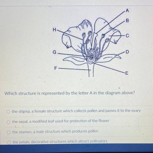 The diagram below represents a flower, the reproductive structure of some plants. Most

flowers ha