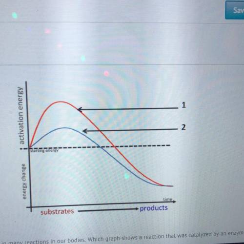 Enzymes play a key role in many reactions in our bodies. Which graph shows a reaction that was cata
