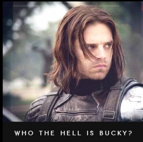Who the hell is Bucky?