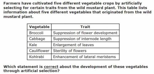 A

They resulted from a trait of the mustard plant being selected and bred to other plants
b
They