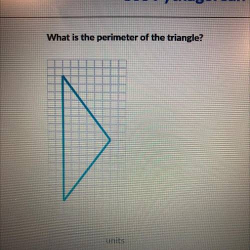 What is the perimeter of the triangle?
unit
