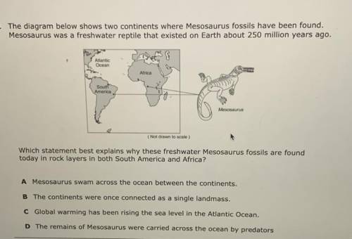 1 The diagram below shows two continents where Mesosaurus fossils have been found.

Mesosaurus wa