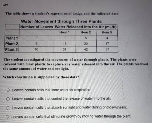 (Picture included) The student investigated the movement of water through plants. The plants were c