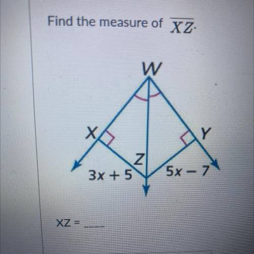 What is the measure of xz