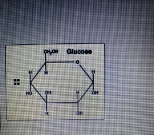 What type of molecule are these diagrams

Here are the choices:
Carbohydrate monomer
Carbohydrate