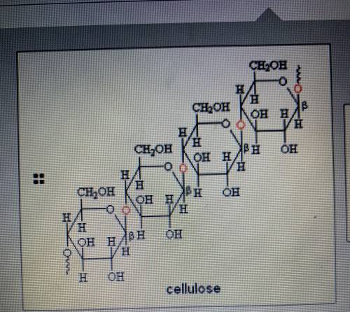 What type of molecule are these diagrams

Here are the choices:
Carbohydrate monomer
Carbohydrate