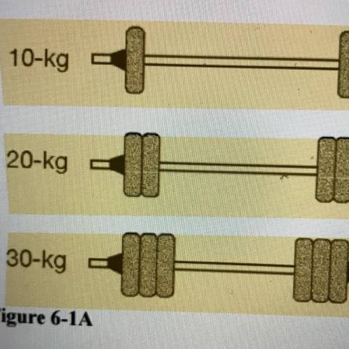 Which barbell has the most inertia