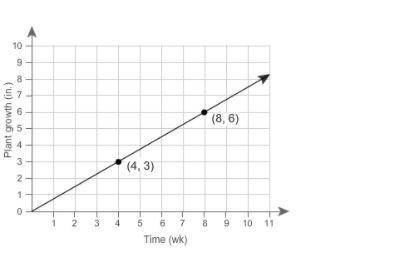 Need help asap this affects my grade

This graph represents the relationship between the growth of