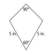 What is the area of the kite? Round to the nearest tenth.

The image is of quadrilateral in the sh