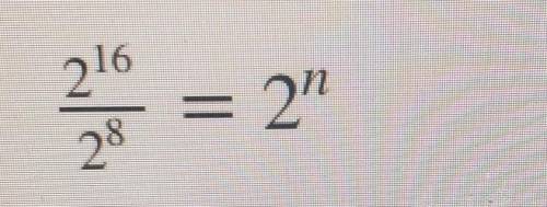 PLEASE HELPWhat is the value of n in this equation?