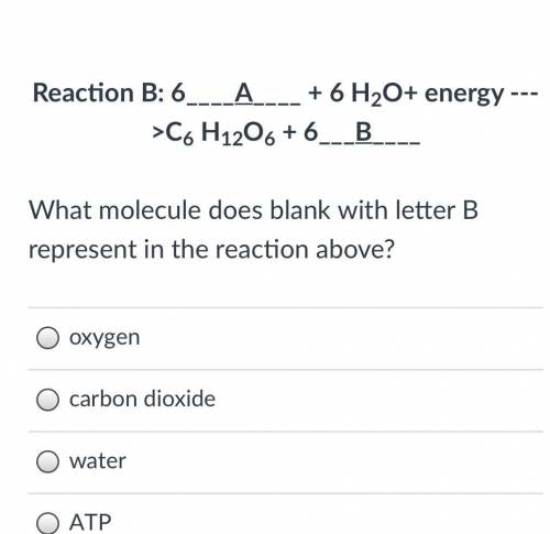 Shag molecules does blank with letter B represent in the reaction above?