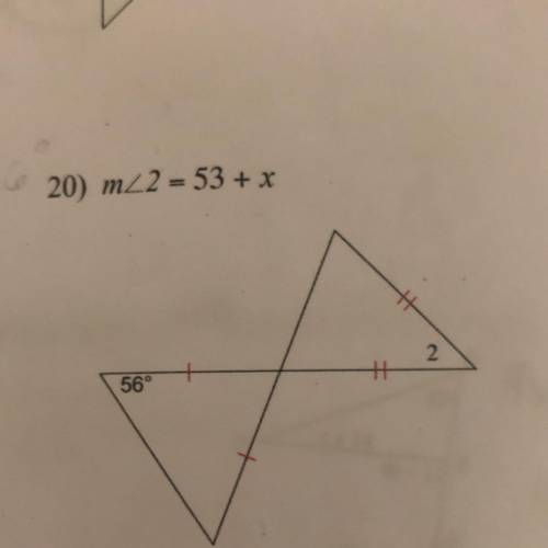 Solve for X please help I need this asap